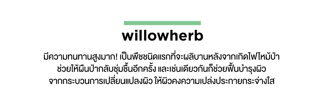 Willowherb